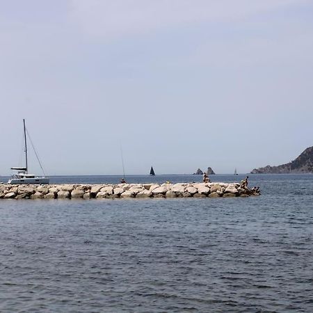 Studio L'Echappee Mandreenne Le Calme Entre Mer Et Foret Saint-Mandrier-sur-Mer Dış mekan fotoğraf