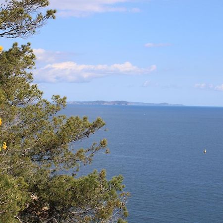Studio L'Echappee Mandreenne Le Calme Entre Mer Et Foret Saint-Mandrier-sur-Mer Dış mekan fotoğraf
