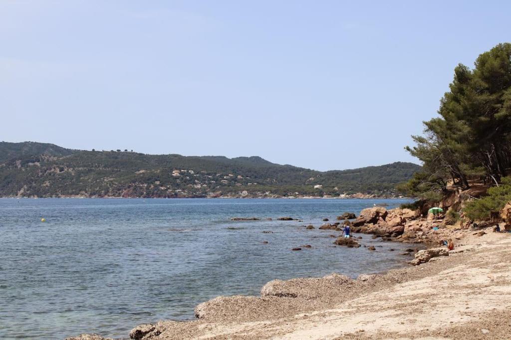 Studio L'Echappee Mandreenne Le Calme Entre Mer Et Foret Saint-Mandrier-sur-Mer Dış mekan fotoğraf
