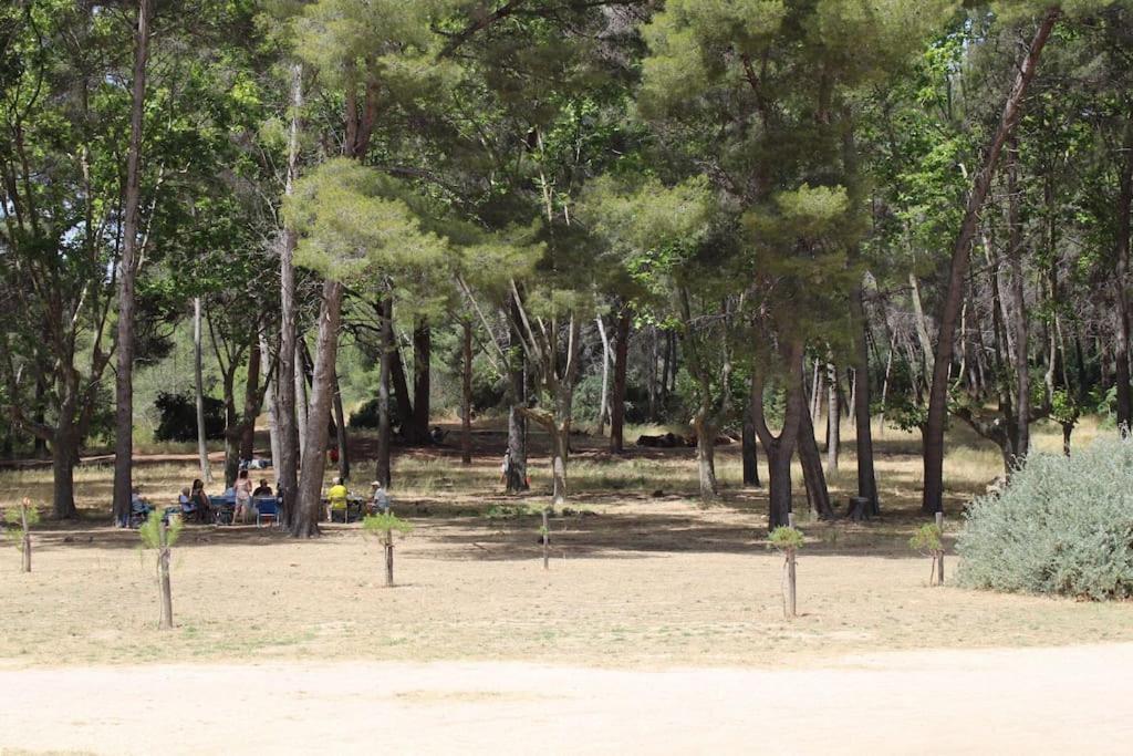 Studio L'Echappee Mandreenne Le Calme Entre Mer Et Foret Saint-Mandrier-sur-Mer Dış mekan fotoğraf
