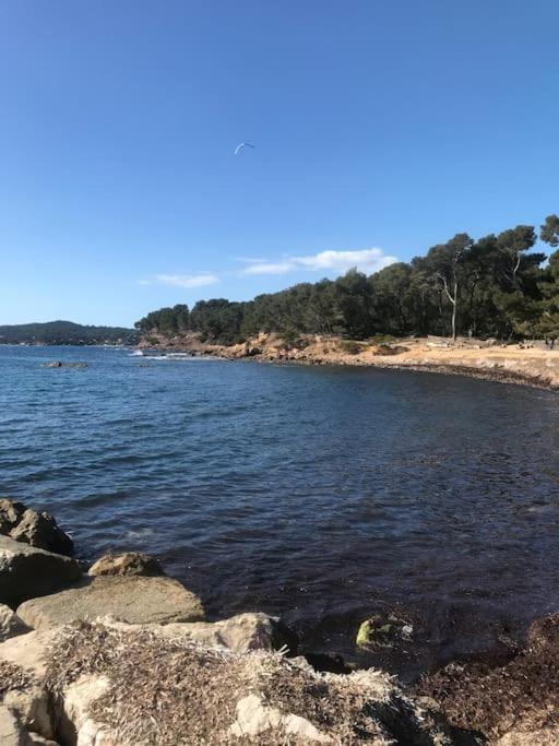 Studio L'Echappee Mandreenne Le Calme Entre Mer Et Foret Saint-Mandrier-sur-Mer Dış mekan fotoğraf