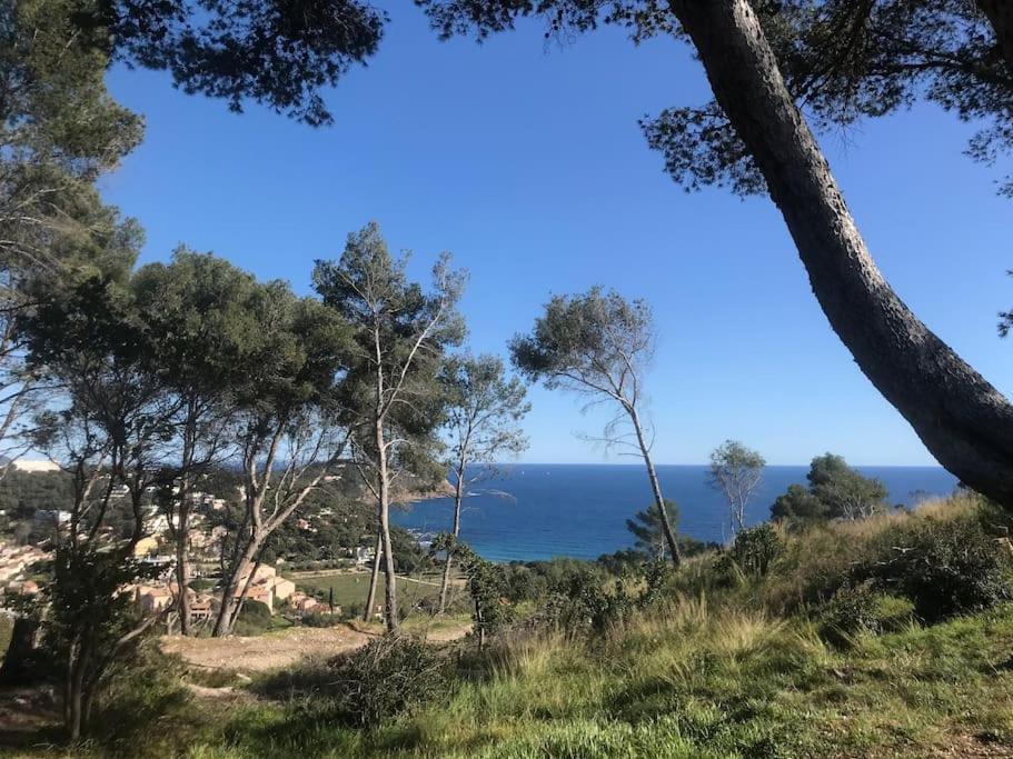 Studio L'Echappee Mandreenne Le Calme Entre Mer Et Foret Saint-Mandrier-sur-Mer Dış mekan fotoğraf