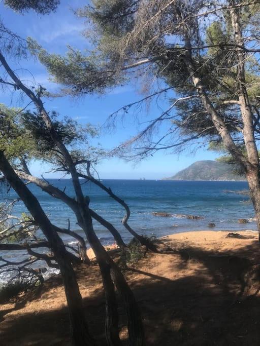 Studio L'Echappee Mandreenne Le Calme Entre Mer Et Foret Saint-Mandrier-sur-Mer Dış mekan fotoğraf