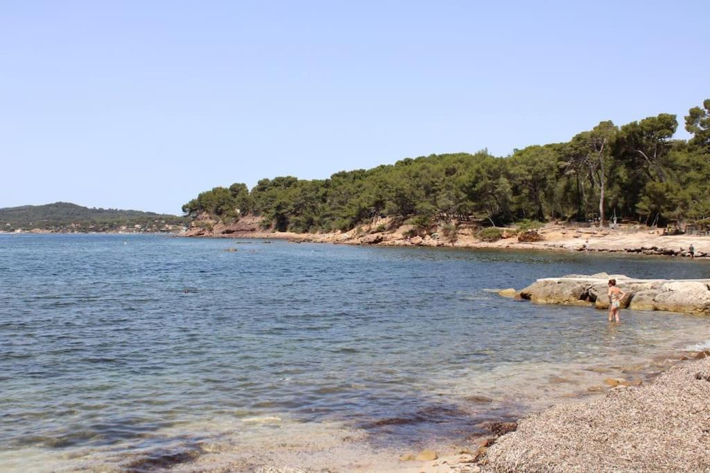 Studio L'Echappee Mandreenne Le Calme Entre Mer Et Foret Saint-Mandrier-sur-Mer Dış mekan fotoğraf