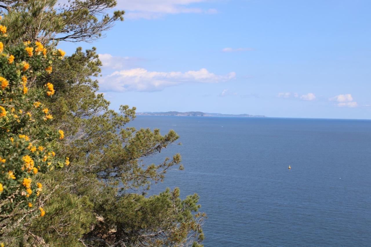 Studio L'Echappee Mandreenne Le Calme Entre Mer Et Foret Saint-Mandrier-sur-Mer Dış mekan fotoğraf
